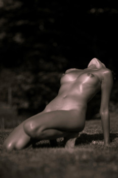Michael Carter Photography