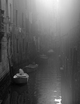Michael Carter Photography